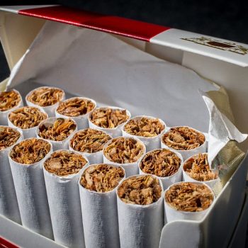 cigari