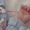 bebe