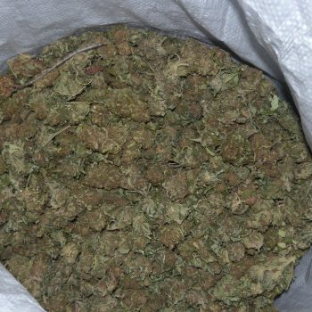 marihuana-droga-narkotici