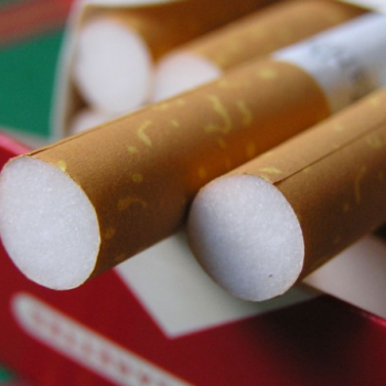 cigari