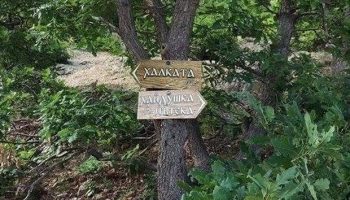 halkata-haidushka-pateka