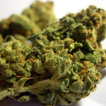 marihuana-1