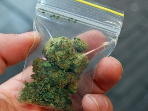 marihuana-narkotica
