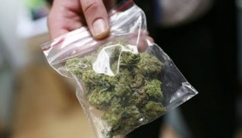 marihuana