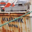 akademim-korab