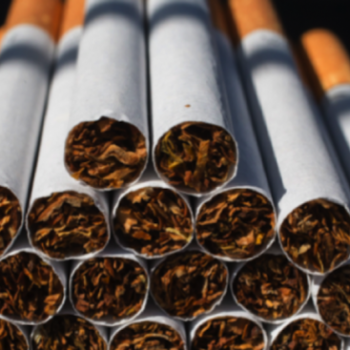 cigari
