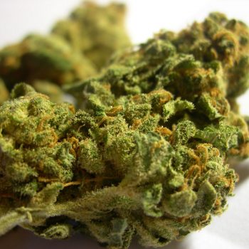 marihuana