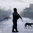 nato-afganistan