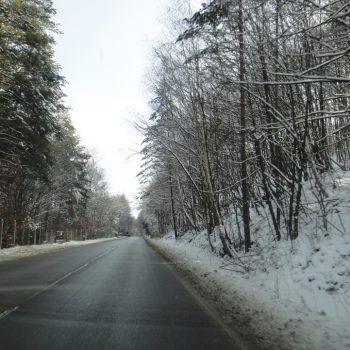 zima-pyt