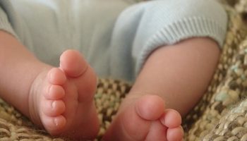 bebe