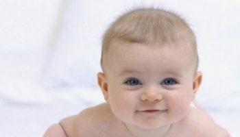 bebe