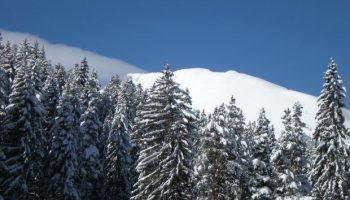 planina