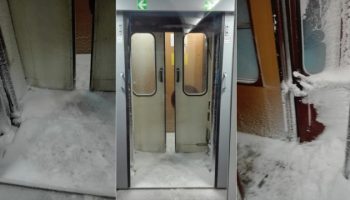 43667