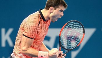 grigor2017