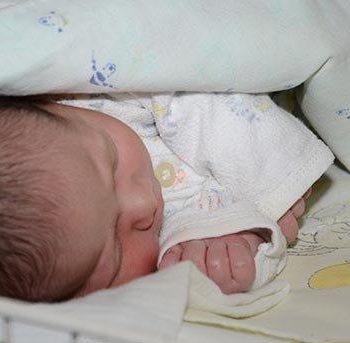 bebe