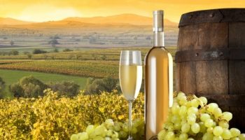 bqlo-vino-lozq-grozde