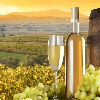 bqlo-vino-lozq-grozde