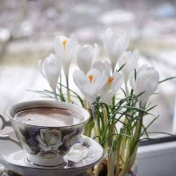 coffee