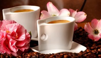 coffee-fevruari-04