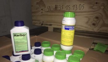 pesticidi