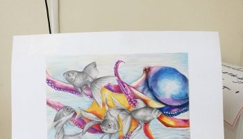 337