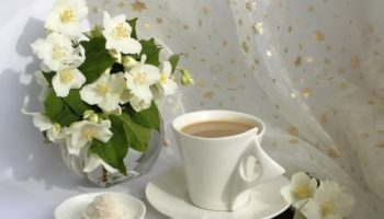 coffee