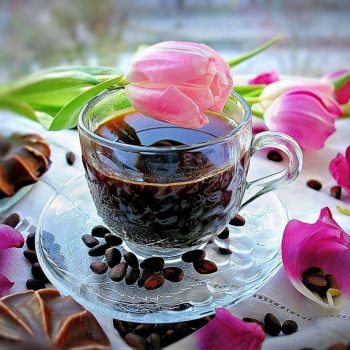 coffee