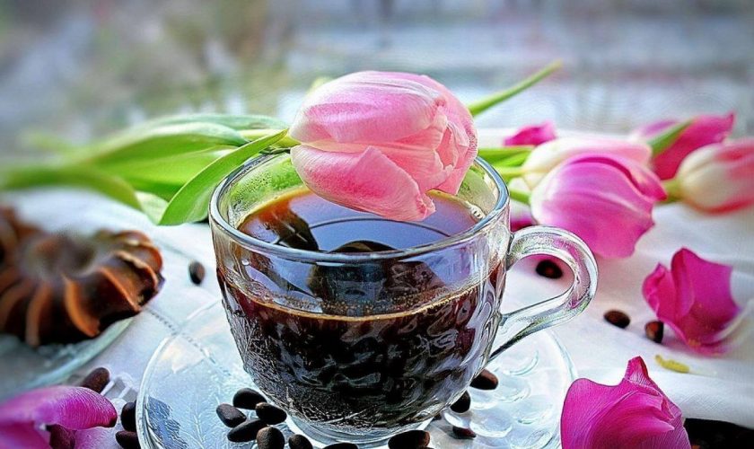 coffee