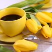 coffee-