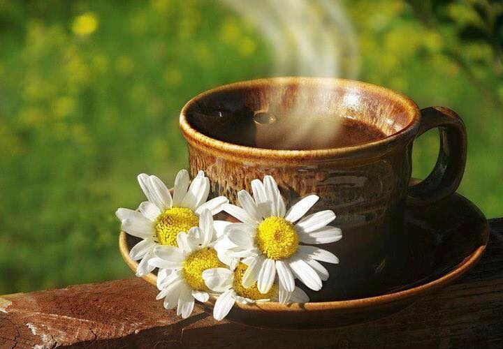 coffee-