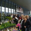 Панаир-снимка-17.03.2017