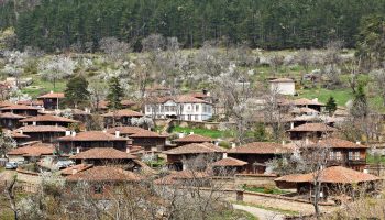 Jeravna