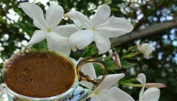 coffee
