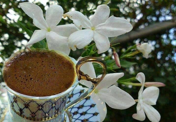 coffee