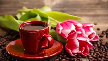 coffee