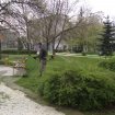 kosene-qmbol