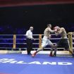 tervel-pulev