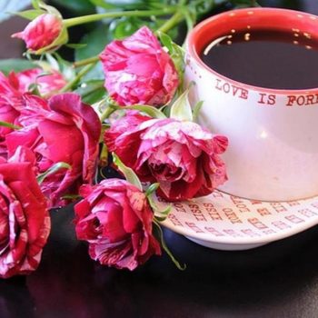 coffee