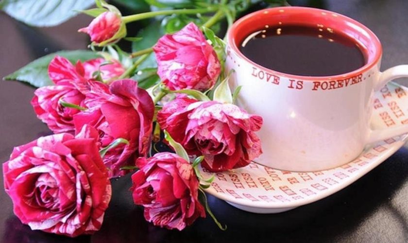 coffee