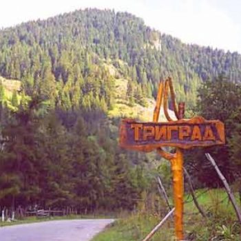 trigrad