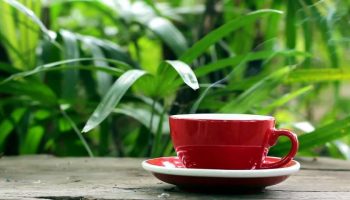 coffee