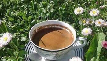 coffee