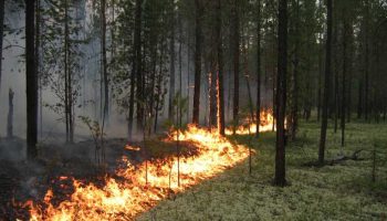 pojar-gora