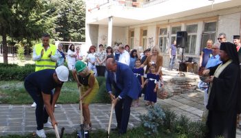 03_Yasla_DG Plamuche