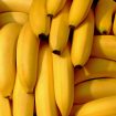 banani
