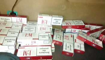cigari