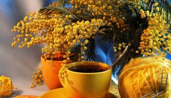coffee