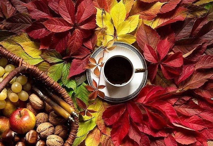 coffee