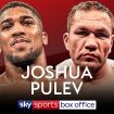 joshua-vs-pulev