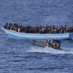 migranti